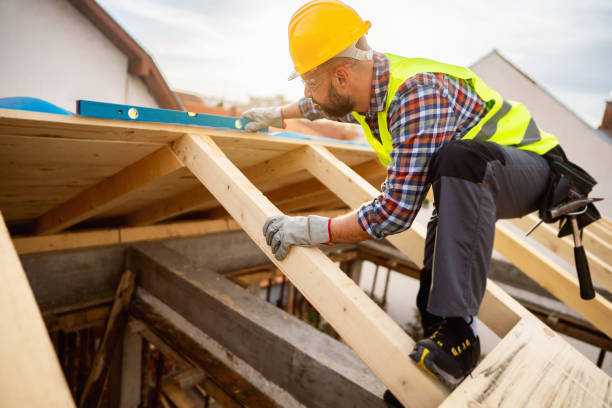 Best Gutter Installation and Roofing  in Carpendale, WV