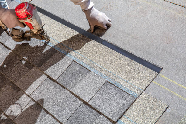 Best Local Roofing Companies  in Carpendale, WV